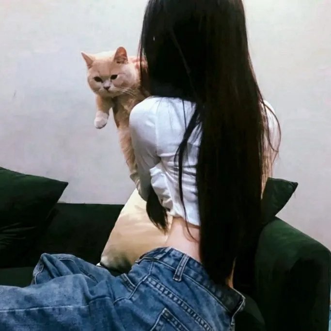 杀出个未来