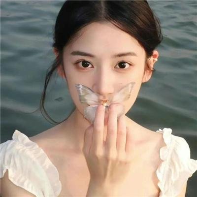 分手的决心